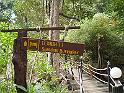 similan-marzo-2009 (30)